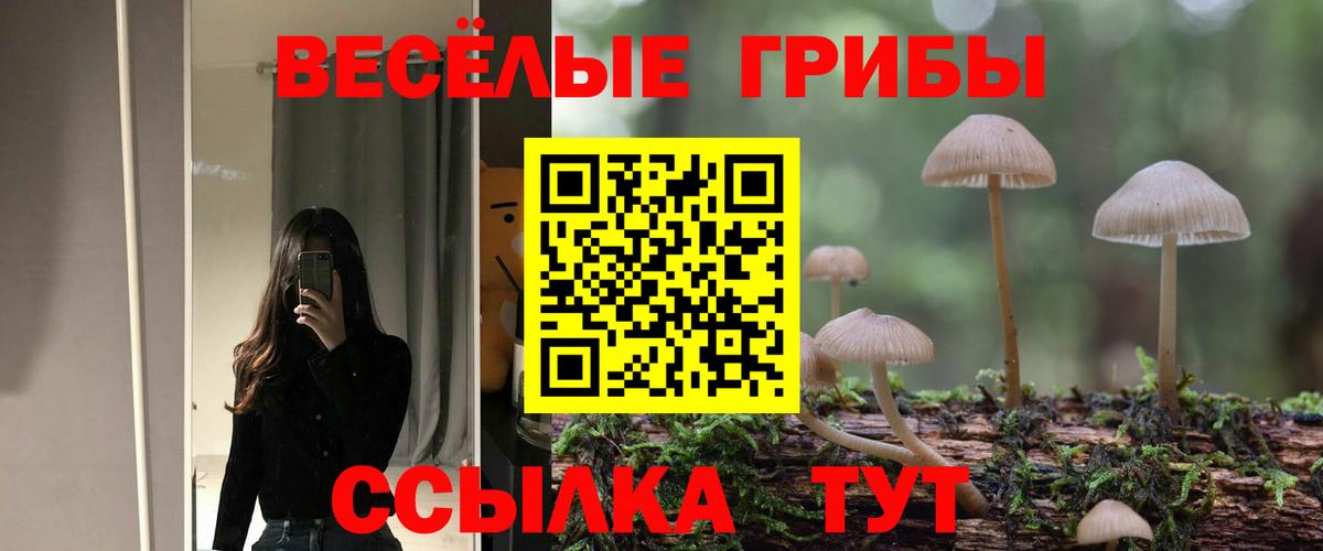 Рыбинск  Псилоцибиновые грибы Psilocybe  Псилоцибиновые грибы GOLDEN TEACHER  Вход с VPN 